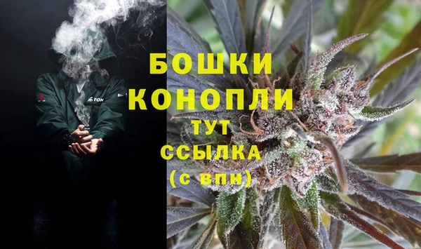 молекула духа Покровск