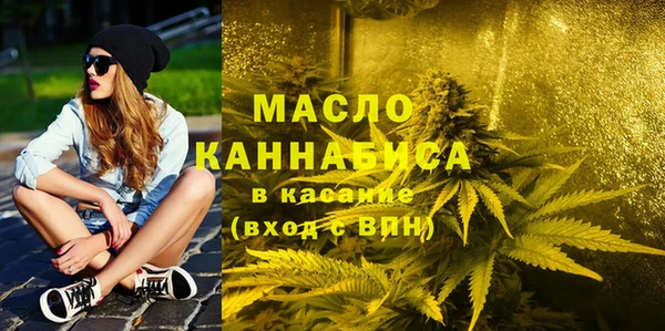 МДПВ Татарск