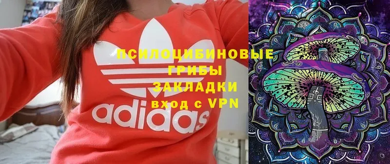 Псилоцибиновые грибы Magic Shrooms  Боготол 