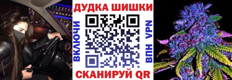 KRAKEN tor  Боготол  Бошки марихуана план 